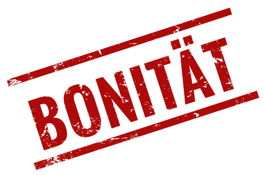 Bonitätsauskunft